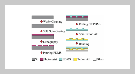 Fabrication and Characterization of Teflon AF-Coated Liquid Core Waveguide Microchannels in PDMS