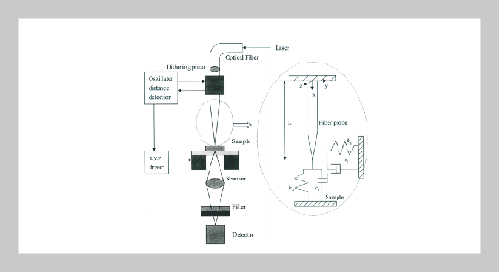 On the Sensitivity of Interactive Damping of Scanning Near-Field Optical Microscope Probe