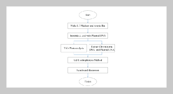 Studies on the Photokilling of E. coli with TiO2 Nanoparticles by Using Gel Electrophoresis Technology