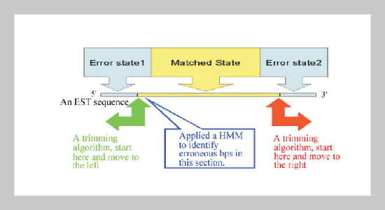 A Proposed Paradigm for Expressed Sequence Tags Data Format – An Application of Hidden Markov Models