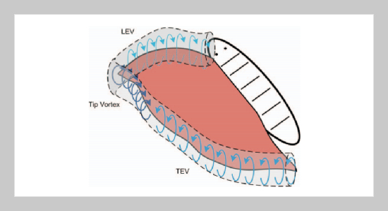 Design of a Butterfly Ornithopter