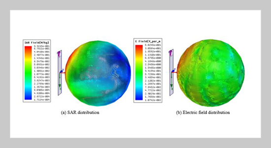 Study on SAR Distribution of Electromagnetic Exposure of 5G Mobile Antenna in Human Brain