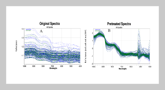 Rapid detection of freshness of refrigerated grouper (Epinephelus coioides) ﬁllets by near-infrared spectroscopy and quality index method 