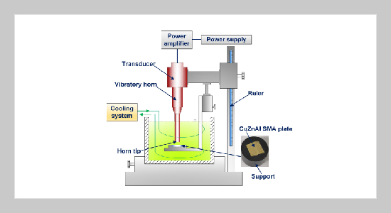 Effects of cavitation on grain structure and phase transformation of CuZnAl shape memory alloy