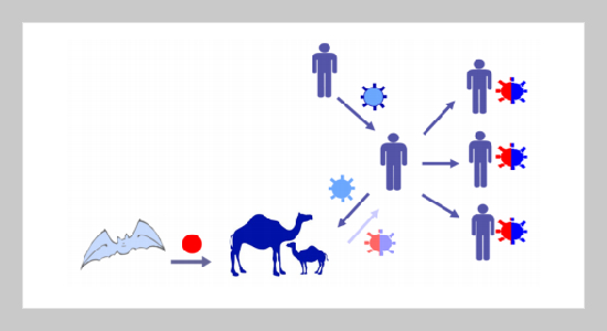 COVID-19 Disease Diagnosis using Smart Deep Learning Techniques