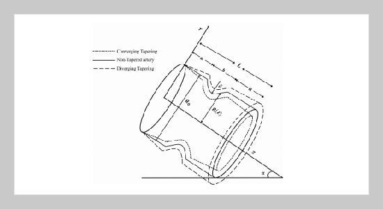 Characteristics of Blood Flow Through a Porous Tapered Artery having a Mild Stenoses under the Influence of an External Magnetic Field