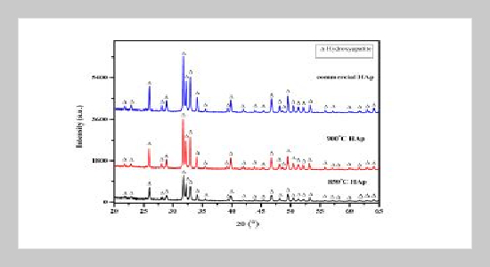 Comparing Properties of Bovine Bone Derived Hydroxyapatite and Synthetic Hydroxyapatite