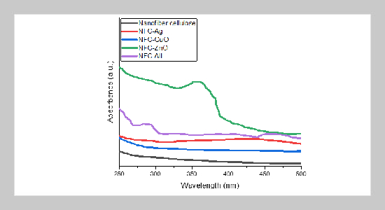 Synergistic Effects of Cellulose Nanofibers and Coinage Metal Nanoparticles (Ag, CuO, and ZnO) in Active Packaging Biocomposites