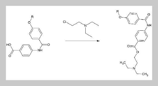 Transforming Otilonium Bromide for Resilient Antimicrobial Combat