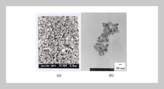 Pristine and Mn2+-Activated (Zn,Cd)S Nanoparticles: Synthesis, Microstructure and Photoluminescent Properties 