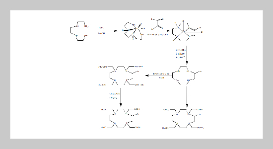 Radiochemical Characterization of 67,68Ga Labeled DOTA Derivatives 