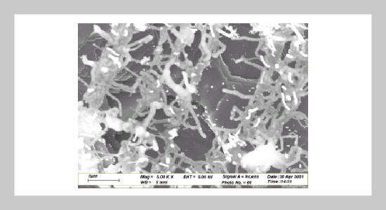 Boron-triggering Mechanochemical Effect In Relation With Artificial Graphite And Carbon Nanotube