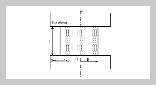 Forging of Solid Powder Discs of Large Slenderness Ratio 